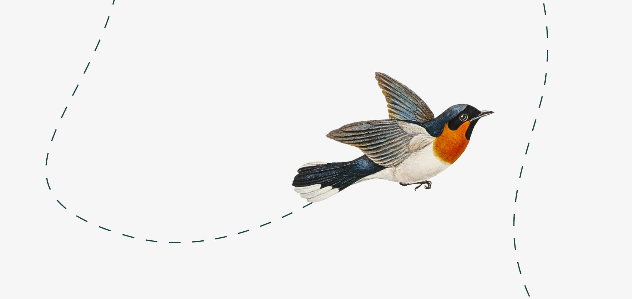 Illustration of a bird flying.